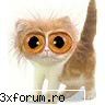 Poze fun. - poze fun la greu.. :P - Fun si divertisment !